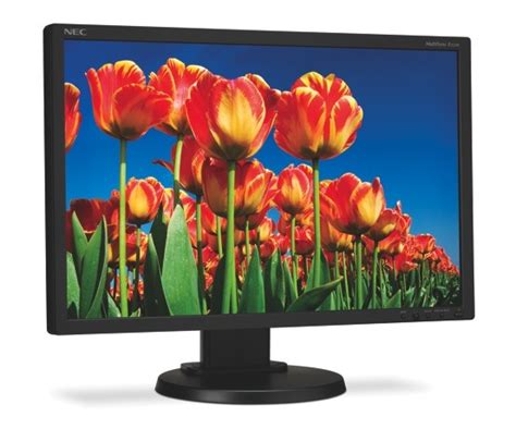 NEC MultiSync E222W 22-inch LCD Monitor - ecoustics.com