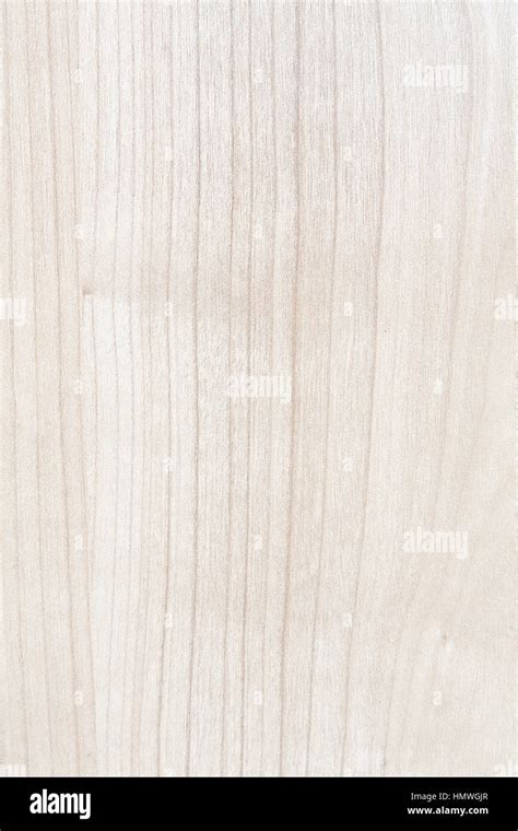 High Resolution Blonde Wood Texture Stock Photo Alamy