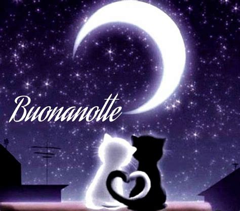 Pin Di Andrea Bratelli Su Buonanotte Buonanotte Notte Buona Notte