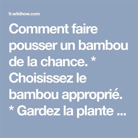 Comment Faire Pousser Un Bambou De La Chance Tapes Bambou