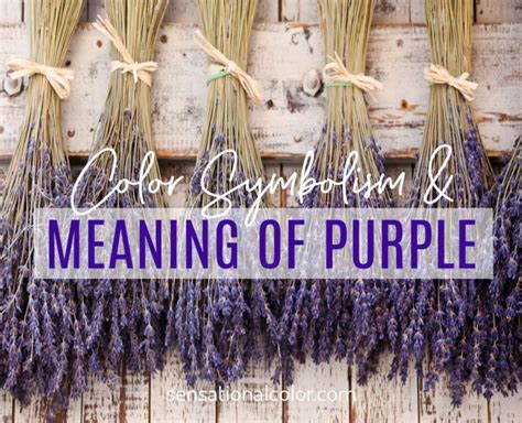 Meaning Of Purple Color Psychology And Symbolism Sensational Color