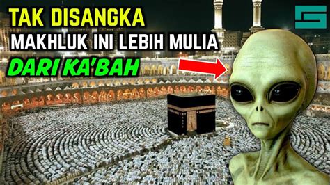 Subhanallah Ternyata Inilah Makhluk Yang Lebih Mulia Dan Istimewa Dari