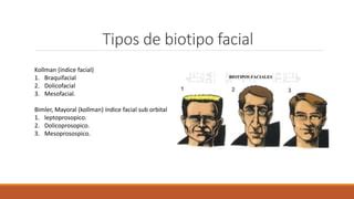 ANALISIS FACIAL Pptx