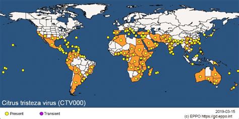 Global Distribution Of Citrus Tristeza Virus This Map Also Includes Download Scientific