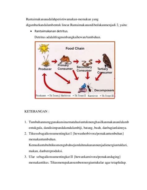 Soal Ekosistem Dan Jawaban Nya