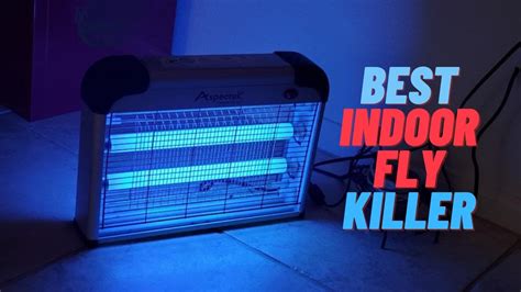 Best Indoor Fly Killer Indoor Fly Killer Reviews Buying Guide