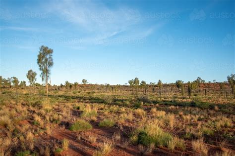 image  outback landscape austockphoto