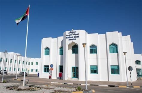 Al Dhafra Hospitals Doctors Use Laparoscopic Approach To Treat