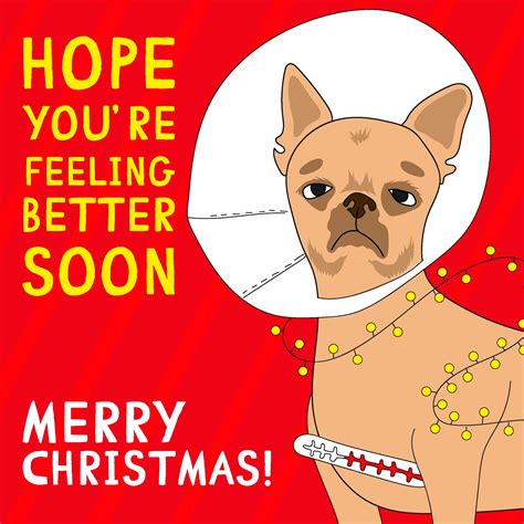 Merry Christmas Hope Youre Feeling Better Soon Funny Chihuahua Card Seasonchristmas Occasion