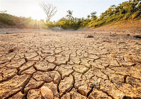 Estado decreta situação de emergência por causa da estiagem em 150