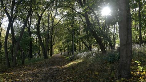 H Stdagj Mning Mitt I B De Sommar Och Vinter P Morgon Sveriges Radio