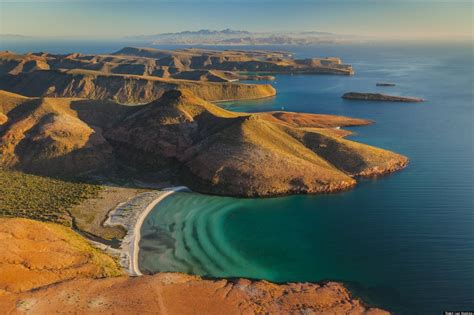 Wild Nature In Baja California And The Sea Of Cortez | HuffPost