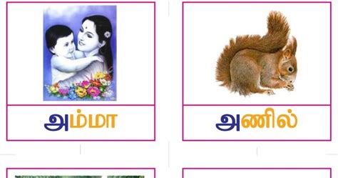 Tamil Flash Cards