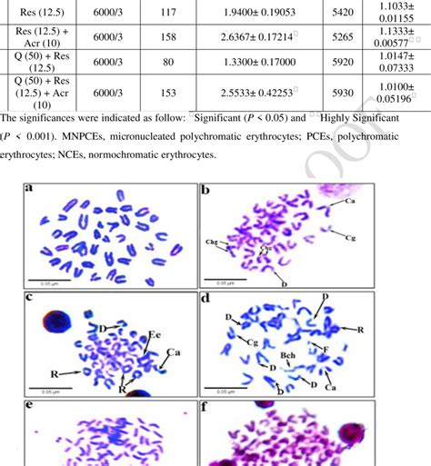 Metaphase Chromosomes In Mice Bone Marrow Cells A Normal Chromosomes