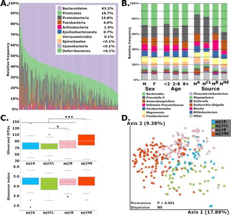 A Gut Microbiome Profiles Of Healthy Common Marmosets At The Phylum