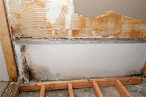 How To Recognize Warning Signs Of Mold In Your Home Acr Ltd