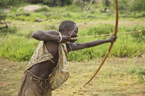 Hadzabe tribe, Tanzania - Stock Image - C022/3094 - Science Photo Library