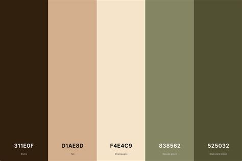 20 Brown Color Palettes With Names And Hex Codes Artofit