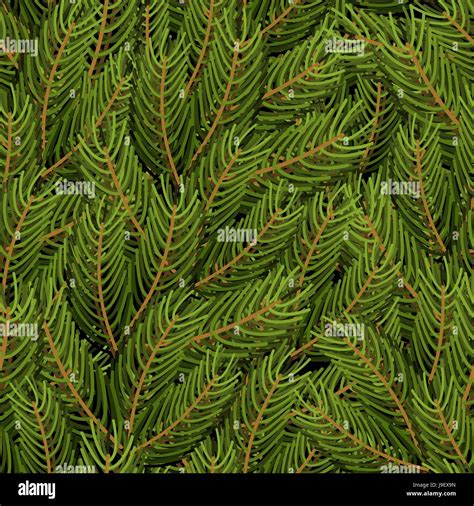 Spruce Branch Background FIR Branch Seamless Pattern Christmas Tree