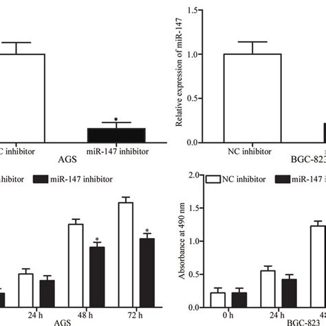 Downregulation Of MiR 147 Inhibits The Proliferation Of Gastric Cancer