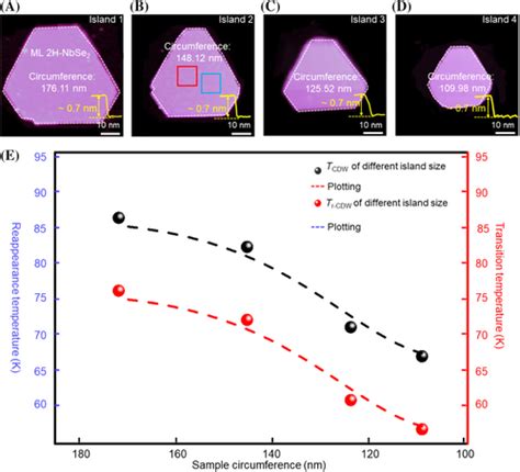 Atomic Tracking Of Thermallydriven Structural Evolution In 2D Crystals