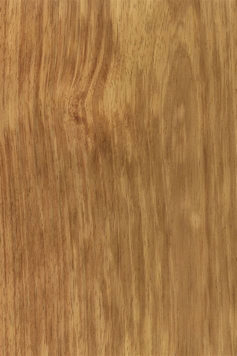 KOROSEAL - KOA ACACIA FC | Wood sample, Wood texture, Acacia wood