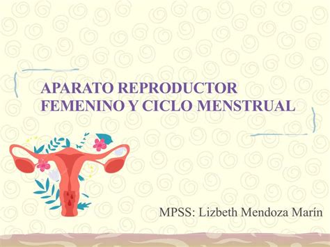 Aparato Reproductor Femenino Y Ciclo Menstrual Maria Guadalupe Medina