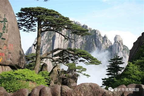 绝美黄山 黄山 西海大峡谷诗画宏村双古街四日游