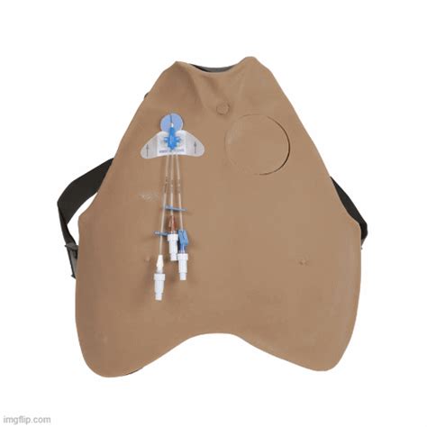 Wearable Urinary Catheterization Simulator Avcath