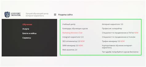 Что представляют собой онлайн курсы от Convert Monster
