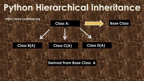 Python Class Inheritance Python Tutorial Codeloop