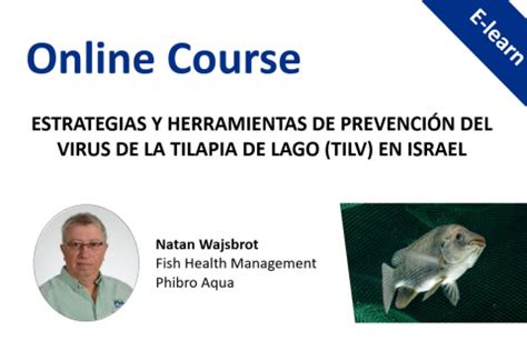 ESTRATEGIAS Y HERRAMIENTAS DE PREVENCIÓN DEL VIRUS DE LA TILAPIA DE