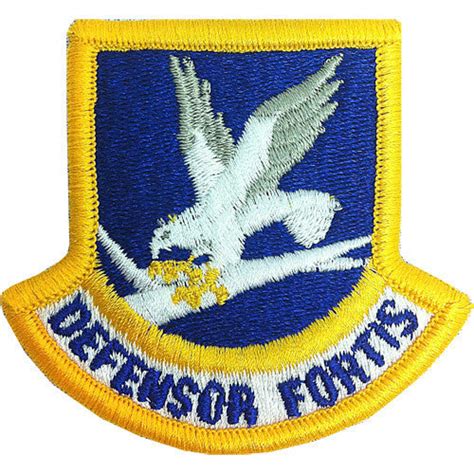 USAF Security Force Enlisted Full Color Patch – Vanguard Industries