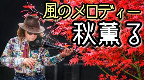 ジャズバイオリン独奏♪ もみじ （紅葉） Electric Violin Solo Cover Youtube