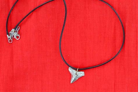 Shark Tooth Necklace. Hand made in the USA | Fugawee