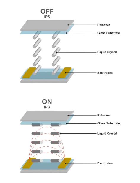 Layar Amoled Vs Ips Lcd Ini Beda Dan Kelebihan Keduanya Sepoin