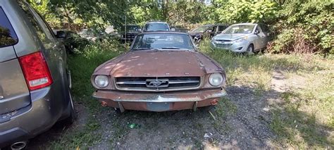 This Abandoned 1965 Mustang Looks More Compelling Than The Entire