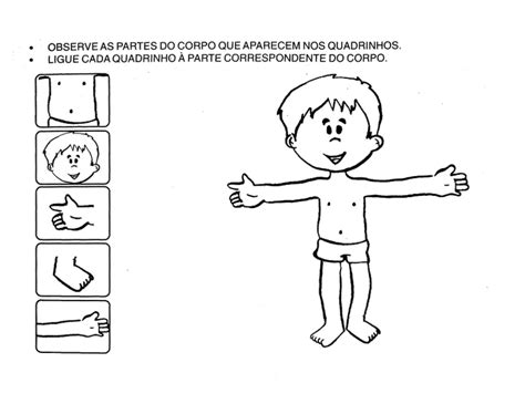 Resultado de imagem para partes do corpo para educação infantil Corpo