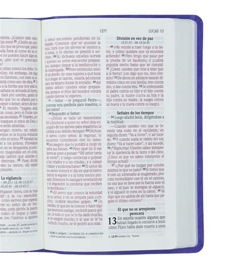 Santa Biblia NVI Letra Grande Tamaño Manual Cuero Ecologico Lila