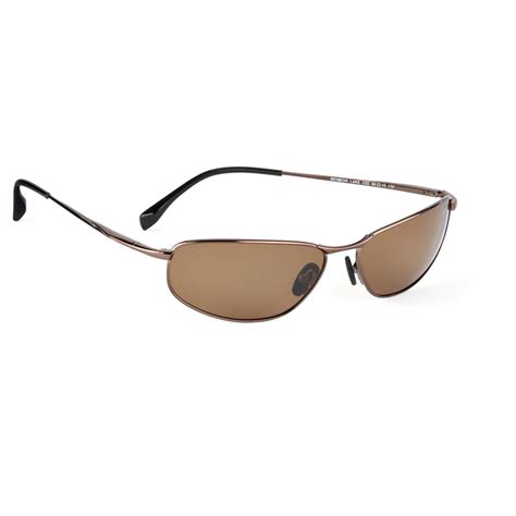 Columbia Sportswear® Benbow Lake Polarized Sunglasses - 147910, Sunglasses & Eyewear at ...