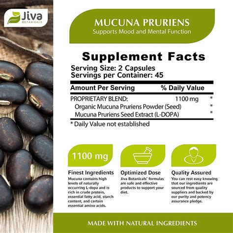 Mucuna Pruriens Depoimentos - Mucuna Pruriens Capsules 1100mg - Dopamine Support Supplement - Velvet ...
