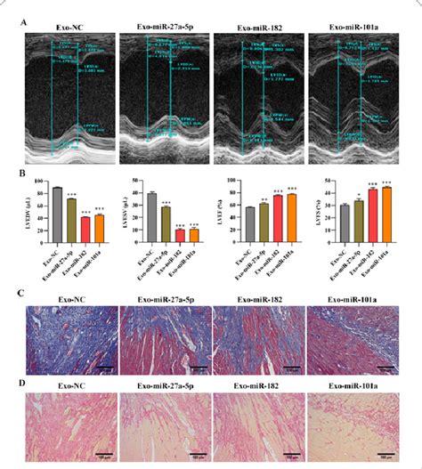 Engineered Exosomes Enhanced Cardiac Function Following Myocardial Ir