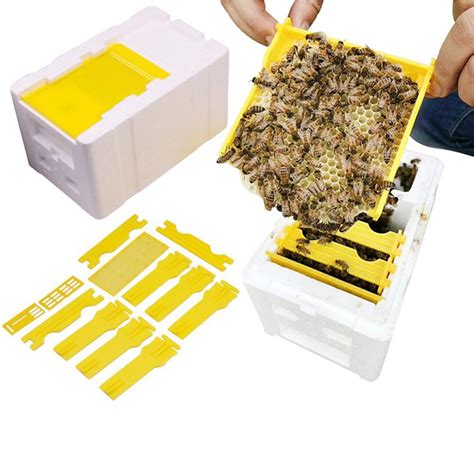 Caja De Polinizaci N Para Colmena De Abejas Marcos De Espuma Kit De