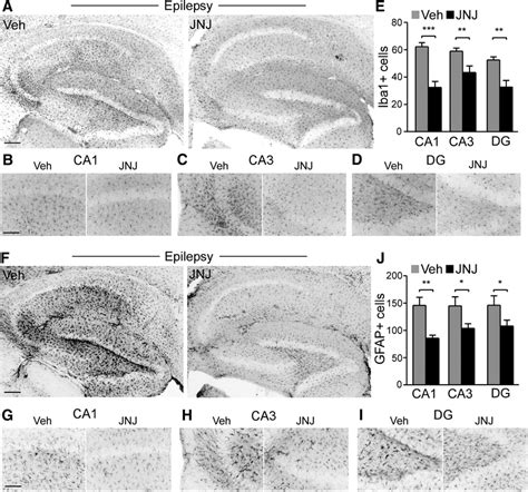 Decreased Astrogliosis And Microgliosis In Jnj 47965567 Treated