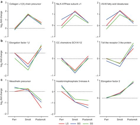 Developmental patterns of gene expression changes. Gene expression in ...