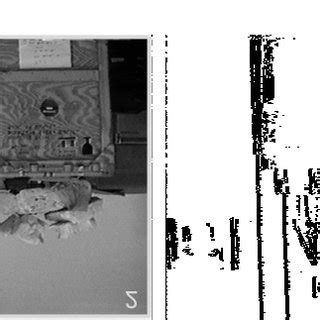 texture mapping  original image  detected texture areas  edge