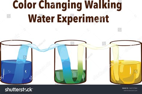 Color Changing Walking Water Experiment Vector เวกเตอร์สต็อก ปลอดค่า