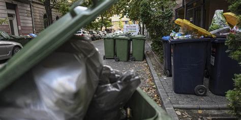 Zsákba tette és szemetesbe dobta öreg kutyáját egy idős nő a VII