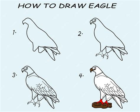 How To Draw A Eagle Step By Step