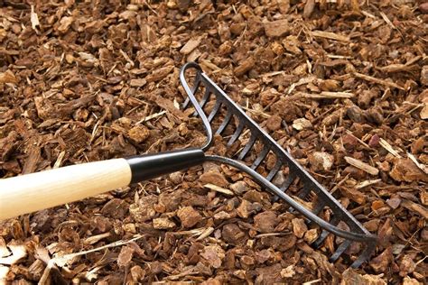 Garden Rake Uses - How To Use A Bow Rake In The Landscape | Gardening ...